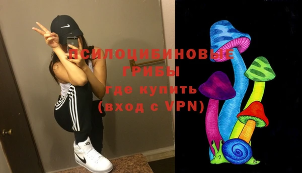 дживик Беломорск