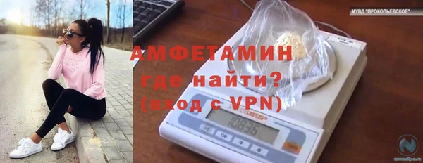 гашик Богородск
