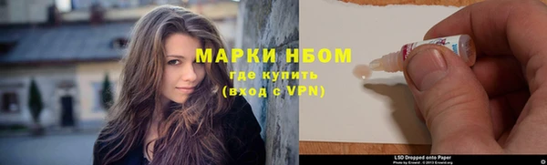 прущие грибы Белокуриха