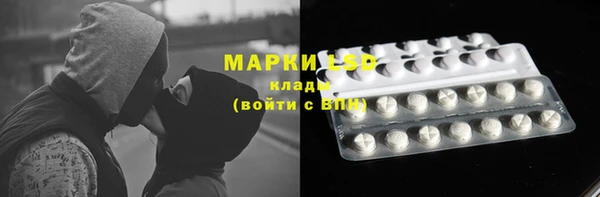 гашик Богородск