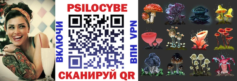 где купить наркоту KRAKEN зеркало Галлюциногенные грибы Psilocybe Мезень